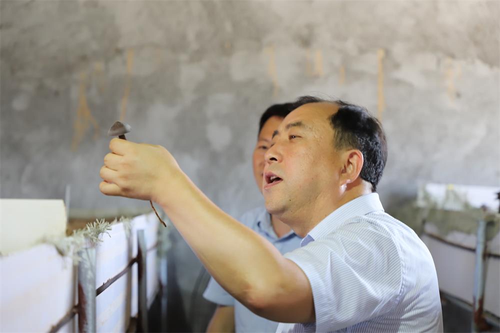 众赢国际版(中国区) - 官方网站